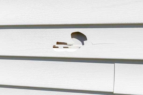 Best Shed Removal  in Meraux, LA