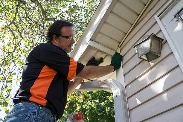 Reliable Meraux, LA Junk Removal Solutions